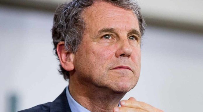 US Senator Calls Sam Bankman-Fried to Answer for Failure of FTX and Alameda Research us-senator-calls-sam-bankman-fried-to-answer-for-failure-of-ftx-and-alameda-research