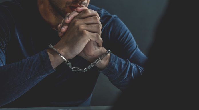 Another Member of Russian Crypto Pyramid Finiko Arrested in UAE another-member-of-russian-crypto-pyramid-finiko-arrested-in-uae