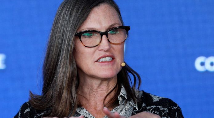 Investors Are Losing Faith in Cathie Wood’s ARK Innovation investors-are-losing-faith-in-cathie-wood’s-ark-innovation