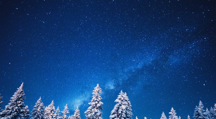 5 perfect books to read over the winter holidays 5-perfect-books-to-read-over-the-winter-holidays