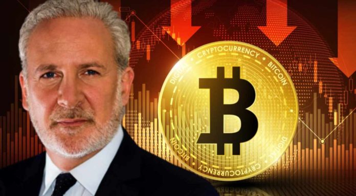 Economist Peter Schiff Warns Bitcoin May Not Rise When Other Financial Assets Rebound economist-peter-schiff-warns-bitcoin-may-not-rise-when-other-financial-assets-rebound