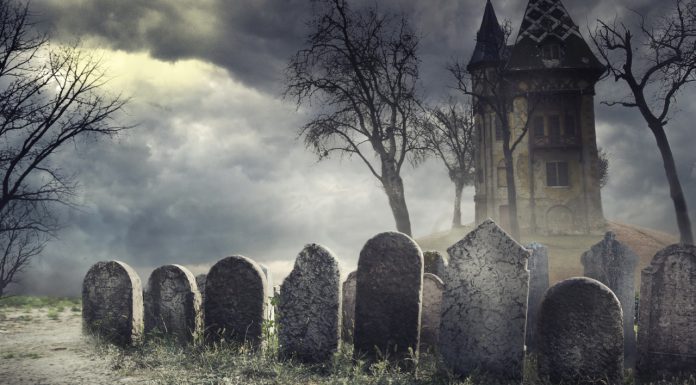 Crypto Supporters Sift Through the Graveyard of Technical Indicators That Failed to Predict Bitcoin’s Bottom crypto-supporters-sift-through-the-graveyard-of-technical-indicators-that-failed-to-predict-bitcoin’s-bottom