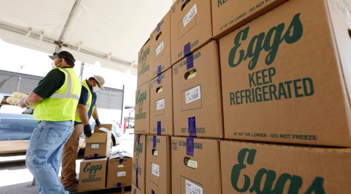 Soaring Egg Prices Lead Nation’s Largest Producer to Record Sales soaring-egg-prices-lead-nation’s-largest-producer-to-record-sales