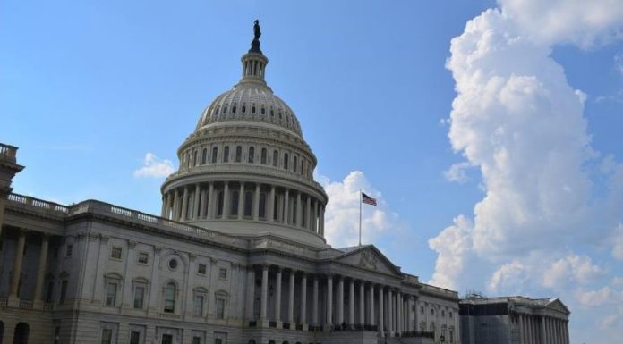 The Best Thing That The House Could Do Would Be To Not Elect A Speaker At All the-best-thing-that-the-house-could-do-would-be-to-not-elect-a-speaker-at-all