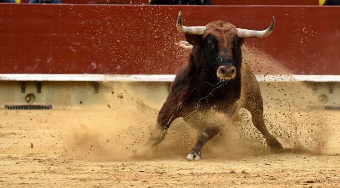 Market Rally Takes Big Step, 9 Stocks Flash Buy Signals; Tesla’s EV Price War market-rally-takes-big-step,-9-stocks-flash-buy-signals;-tesla’s-ev-price-war