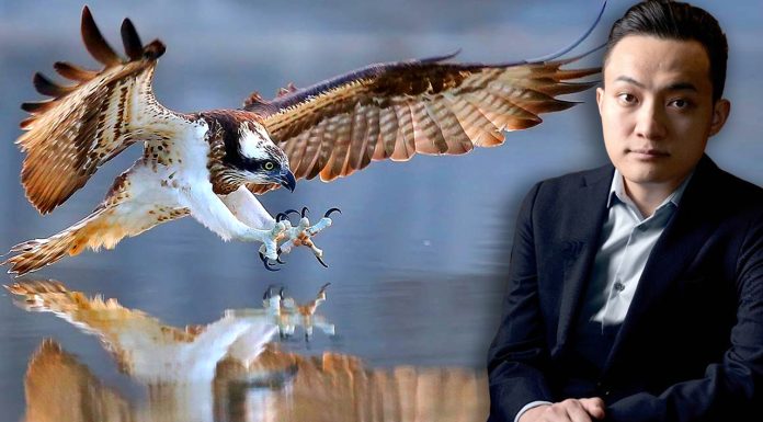 Osprey Vies for Control of Grayscale’s Bitcoin Trust; Tron’s Justin Sun Offers to Invest Up to $1B on DCG Assets osprey-vies-for-control-of-grayscale’s-bitcoin-trust;-tron’s-justin-sun-offers-to-invest-up-to-$1b-on-dcg-assets