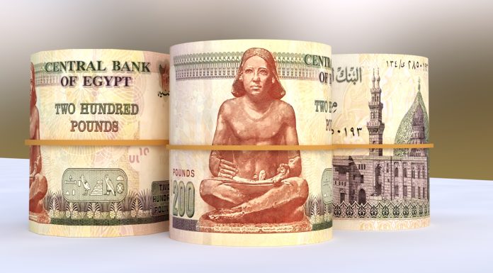 Report: Egyptian Pound Reaches New Low Against US Dollar Despite Flexible Exchange Rate Regime report:-egyptian-pound-reaches-new-low-against-us-dollar-despite-flexible-exchange-rate-regime