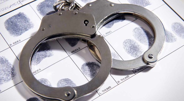 Authorities in Germany, Bulgaria, Serbia, Cyprus Take Down Crypto Scam Network authorities-in-germany,-bulgaria,-serbia,-cyprus-take-down-crypto-scam-network
