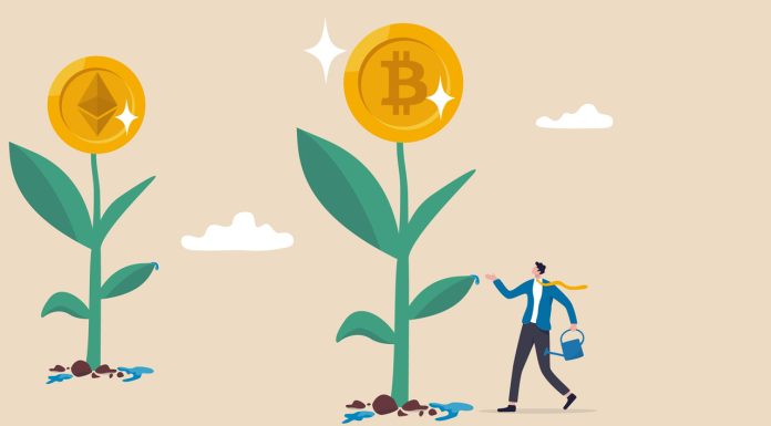 Hashkey Capital Raises $500 Million for Its Third Fund, Despite Crypto Market Downturn hashkey-capital-raises-$500-million-for-its-third-fund,-despite-crypto-market-downturn