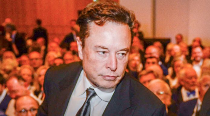 Cybertruck Could Boost Revenue, Says Big Tesla Investor cybertruck-could-boost-revenue,-says-big-tesla-investor