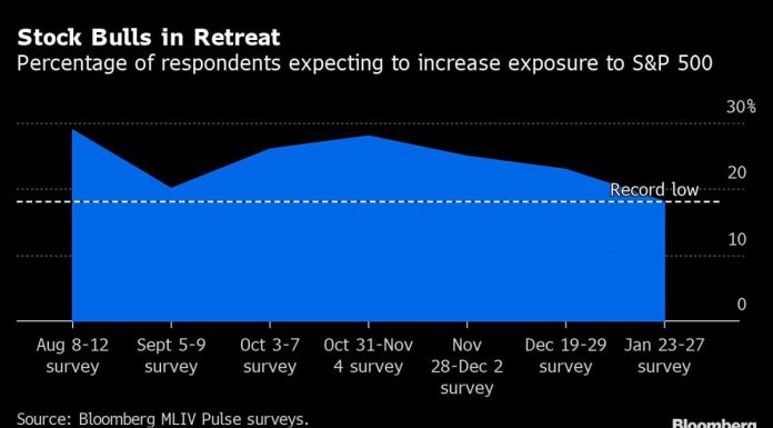 Stocks Are Poised to Hit New Lows This Year, Survey of Investors Shows stocks-are-poised-to-hit-new-lows-this-year,-survey-of-investors-shows