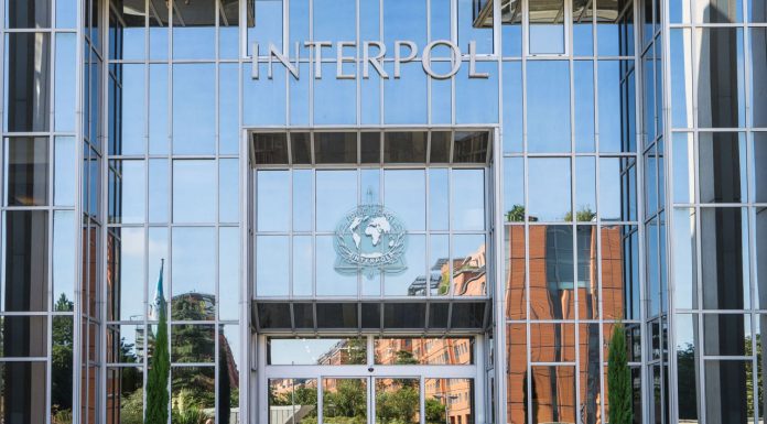 Interpol Is Figuring Out How the Metaverse Will Be Policed interpol-is-figuring-out-how-the-metaverse-will-be-policed