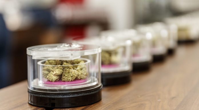 Cannabis chain once worth $1.7 billion and called the ‘Apple store of weed’ is now nearly failing cannabis-chain-once-worth-$1.7-billion-and-called-the-‘apple-store-of-weed’-is-now-nearly-failing