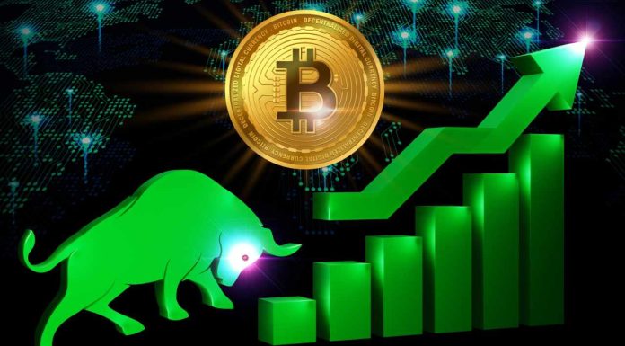 Pantera Capital on Bitcoin: We’re in Next Bull Market Cycle pantera-capital-on-bitcoin:-we’re-in-next-bull-market-cycle
