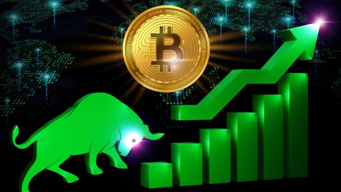 pantera-capital-on-bitcoin:-we’re-in-next-bull-market-cycle