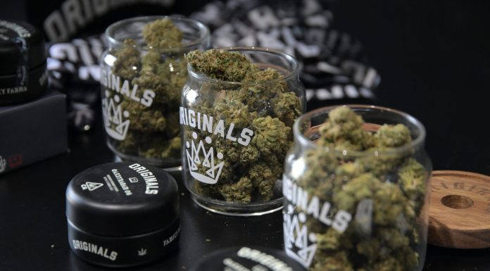 Elon Musk takes his marijuana friendliness to the next level as Twitter pitches itself as a home for cannabis ads elon-musk-takes-his-marijuana-friendliness-to-the-next-level-as-twitter-pitches-itself-as-a-home-for-cannabis-ads