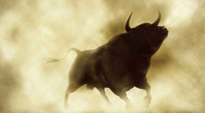 Dow Jones Futures: Market Rally Keeps Climbing; Shopify, Roku, Cisco Are Key Earnings Movers dow-jones-futures:-market-rally-keeps-climbing;-shopify,-roku,-cisco-are-key-earnings-movers