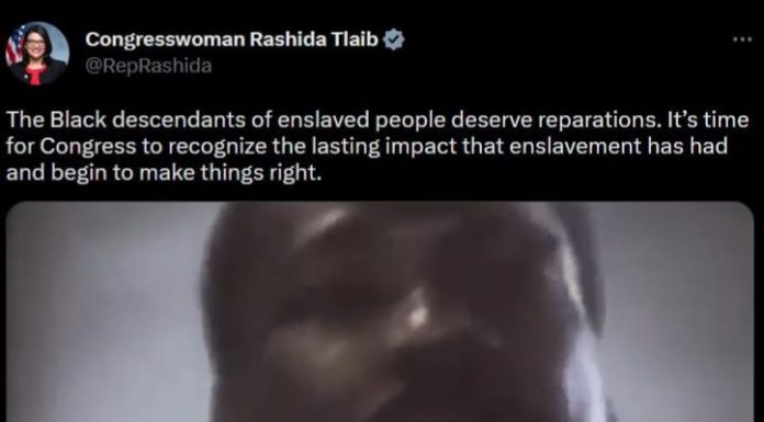 Make No Mistake: They ARE Going to Try to Carry Out a Formalized Program of Racial Wealth Redistribution in Your Lifetime make-no-mistake:-they-are-going-to-try-to-carry-out-a-formalized-program-of-racial-wealth-redistribution-in-your-lifetime