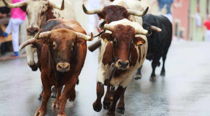 Next Crypto Bull Run Will Start From the East, Says Gemini Co-Founder next-crypto-bull-run-will-start-from-the-east,-says-gemini-co-founder