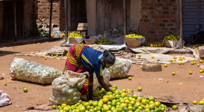 Nigerian Cash Crisis: Benue State Residents Resort to Barter Trade nigerian-cash-crisis:-benue-state-residents-resort-to-barter-trade