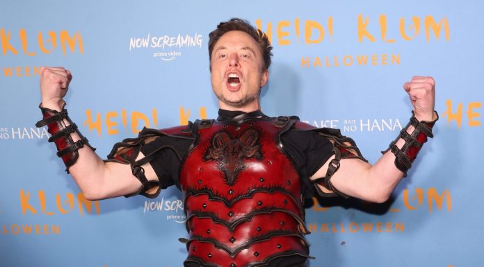 Musk lands a bellyflop as Tesla bulls label his Investor Day a ‘waste of time’ musk-lands-a-bellyflop-as-tesla-bulls-label-his-investor-day-a-‘waste-of-time’