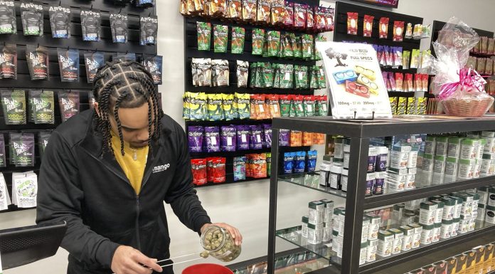 Oklahoma has green eyes for Texas as it weighs pot legalization vote to draw in border tourists oklahoma-has-green-eyes-for-texas-as-it-weighs-pot-legalization-vote-to-draw-in-border-tourists