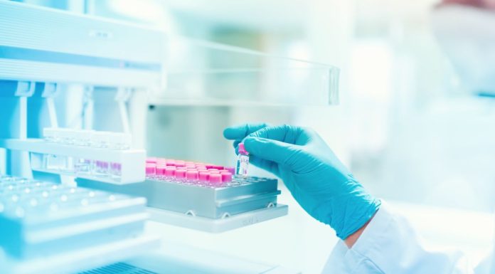 BridgeBio Stock Surges on Positive Dwarfism Drug Data. It’s Bad News for BioMarin. bridgebio-stock-surges-on-positive-dwarfism-drug-data-it’s-bad-news-for-biomarin.