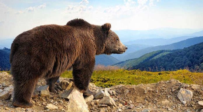 What To Do As S&P 500 Breaks Final Support; Watch JPMorgan, These Stocks what-to-do-as-s&p-500-breaks-final-support;-watch-jpmorgan,-these-stocks