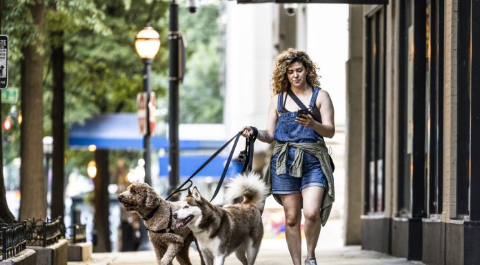 America has failed millennials so badly they’re turning to $1,000-per-month side hustles to make ends meet america-has-failed-millennials-so-badly-they’re-turning-to-$1,000-per-month-side-hustles-to-make-ends-meet