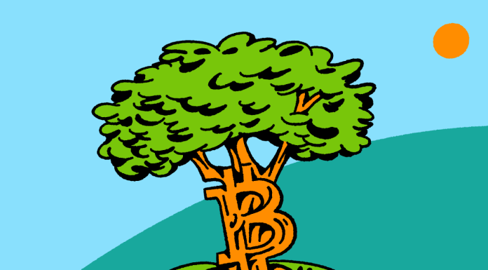 Jack Dorsey’s #startsmall Pledges $5 Million Over 5 Years To Bitcoin Nonprofit Brink jack-dorsey’s-#startsmall-pledges-$5-million-over-5-years-to-bitcoin-nonprofit-brink