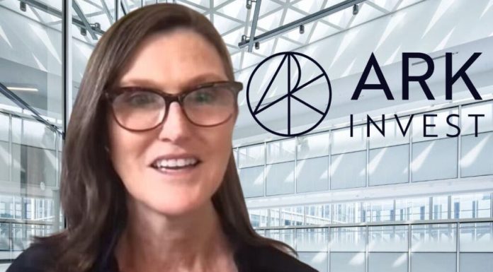 Ark Invest’s Cathie Wood Is Betting Big On AI With These 4 Stocks — Including One That Could Skyrocket 670% ark-invest’s-cathie-wood-is-betting-big-on-ai-with-these-4-stocks-—-including-one-that-could-skyrocket-670%