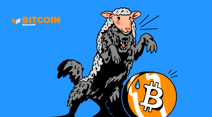 Linking Bitcoin To The Fentanyl Trade, Elizabeth Warren Demonstrates Concerning Bias Against Innovation linking-bitcoin-to-the-fentanyl-trade,-elizabeth-warren-demonstrates-concerning-bias-against-innovation