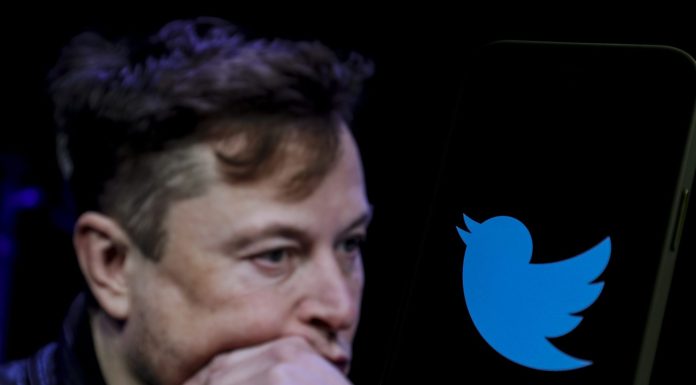 Elon Musk wants to ditch Twitter brand, bird logo: ‘We shall bid adieu to the twitter brand and, gradually, all the birds’ elon-musk-wants-to-ditch-twitter-brand,-bird-logo:-‘we-shall-bid-adieu-to-the-twitter-brand-and,-gradually,-all-the-birds’