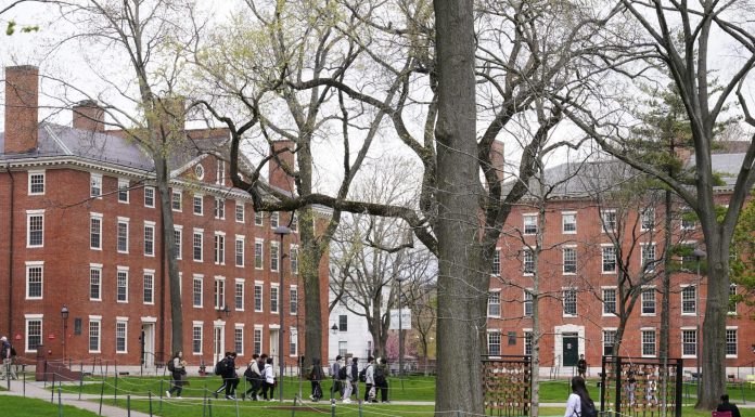 Harvard’s legacy admissions policies are under investigation by Biden’s Education Department harvard’s-legacy-admissions-policies-are-under-investigation-by-biden’s-education-department