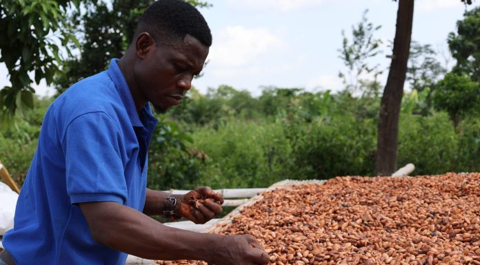 Chocolate inflation won’t quit as the wholesale cocoa cost soars to the highest level in over a decade chocolate-inflation-won’t-quit-as-the-wholesale-cocoa-cost-soars-to-the-highest-level-in-over-a-decade