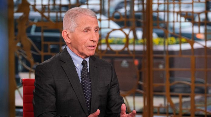 A replacement for Anthony Fauci, the top U.S. infectious disease expert and frequent face on TV during the COVID pandemic, has been named a-replacement-for-anthony-fauci,-the-top-us.-infectious-disease-expert-and-frequent-face-on-tv-during-the-covid-pandemic,-has-been-named