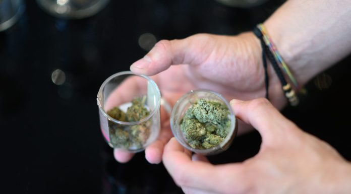Judge blocks New York’s pot store licensing after veterans sued over drug convicts getting priority judge-blocks-new-york’s-pot-store-licensing-after-veterans-sued-over-drug-convicts-getting-priority