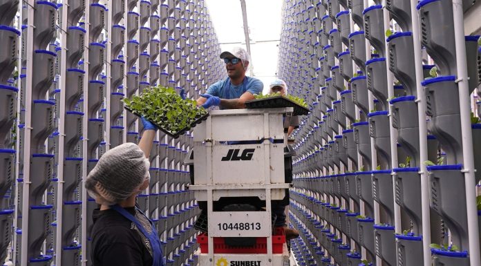 Walmart and Kroger are betting on a bankruptcy-hit indoor farming industry that many consider unsustainable walmart-and-kroger-are-betting-on-a-bankruptcy-hit-indoor-farming-industry-that-many-consider-unsustainable