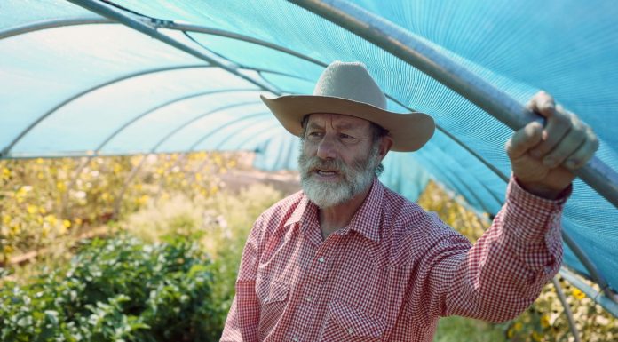 Small farmers are up against California’s $1.1B carrot industry in a vicious fight over groundwater small-farmers-are-up-against-california’s-$1.1b-carrot-industry-in-a-vicious-fight-over-groundwater