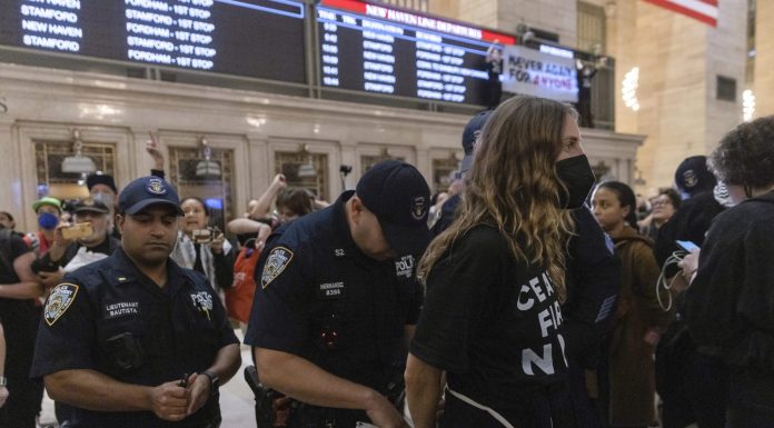 ‘Jews say cease-fire now’: New York City’s Grand Central Station swarmed by hundreds of protesters demanding peace in Gaza ‘jews-say-cease-fire-now’:-new-york-city’s-grand-central-station-swarmed-by-hundreds-of-protesters-demanding-peace-in-gaza