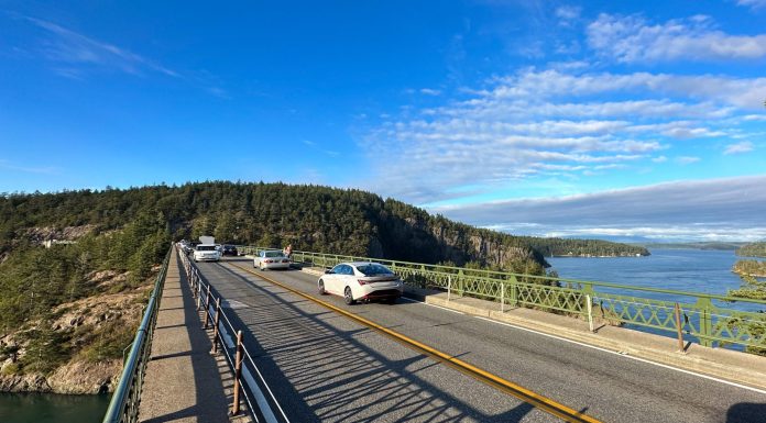 Tire industry scrambles to replace 60-year-old chemical hazardous to salmon: ‘One of the biggest environmental issues that the world hasn’t known about’ tire-industry-scrambles-to-replace-60-year-old-chemical-hazardous-to-salmon:-‘one-of-the-biggest-environmental-issues-that-the-world-hasn’t-known-about’