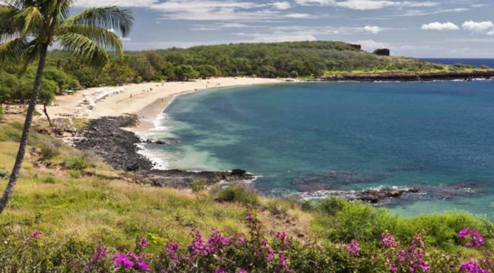 Alaska Air to Buy Hawaiian Airlines for $1.9 Billion alaska-air-to-buy-hawaiian-airlines-for-$1.9-billion