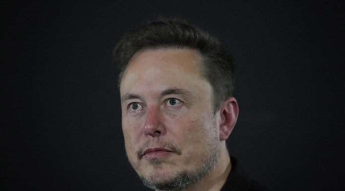 Elon Musk says Disney CEO Bob Iger should be ‘fired immediately’ elon-musk-says-disney-ceo-bob-iger-should-be-‘fired-immediately’