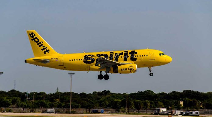Spirit Airlines Stock Descends 50% After Judge Blocks Merger With JetBlue spirit-airlines-stock-descends-50%-after-judge-blocks-merger-with-jetblue