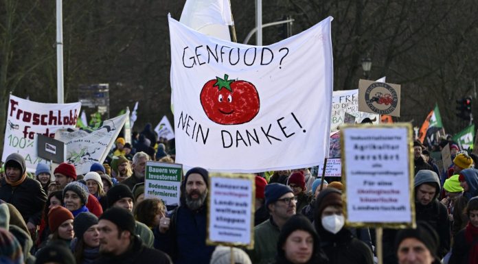 Environmentalists are up in arms after EU relaxes rules on genetically modified plants environmentalists-are-up-in-arms-after-eu-relaxes-rules-on-genetically-modified-plants
