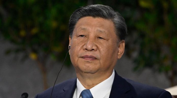 Xi curbs short selling after Chinese market plunges xi-curbs-short-selling-after-chinese-market-plunges