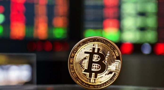 Ten31 Marks First Public Listing for Bitcoin-Focused Venture Fund With BTC Miner GRIID ten31-marks-first-public-listing-for-bitcoin-focused-venture-fund-with-btc-miner-griid