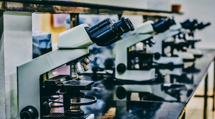 Point72 Doubles Down On Cybin, Increasing Its Position To Over 30 Million Total Shares