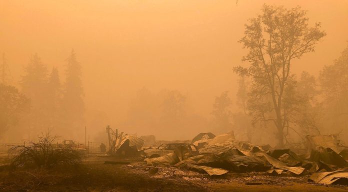 Warren Buffett’s western utility facing untold billions in wildfire damages after the latest bombshell jury verdict came down warren-buffett’s-western-utility-facing-untold-billions-in-wildfire-damages-after-the-latest-bombshell-jury-verdict-came-down