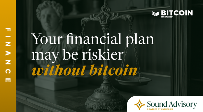Your financial plan may be riskier without bitcoin your-financial-plan-may-be-riskier-without-bitcoin